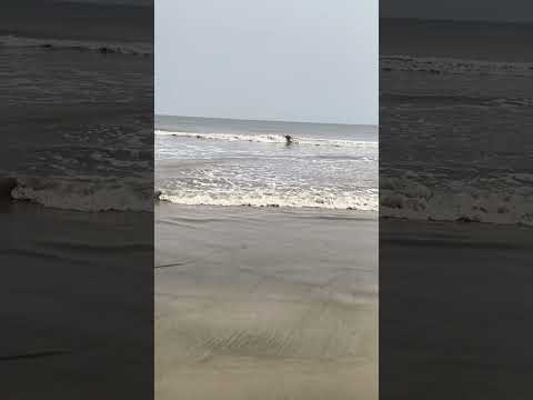 Mandarmani Beach 🏖️⛱️