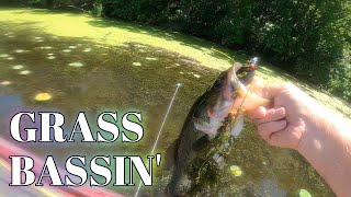 Bassin' with Frogs and Flippin' GRASS