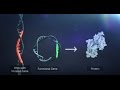 Gene Therapy Explained