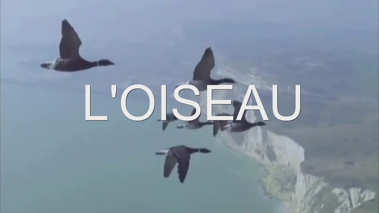 Cécile AUBRY - L' oiseau - par André PRIETO