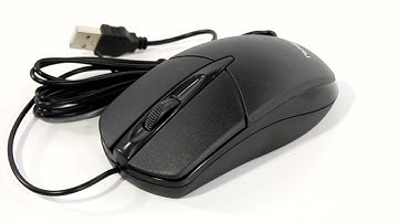 НИКС Звездный бульвар 19 и еще 100 магазинов в РФ: не самое плохое видео про Проводная Мышь GENIUS M