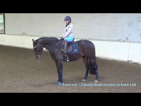 No stirrup exercises at the halt by Equi-learn
