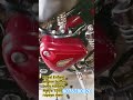 Royal Enfield classic 350 cc engine buffing body running#automobile#royalenfield#royaleblue #nexonev