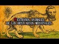 8 Extraños animales de  los bestiarios medievales