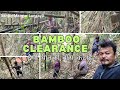 Bamboo Clearance At Devi Than द व थ नक ब स कट ई 