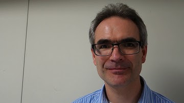 Stephane Wloczysiak, Skyworks