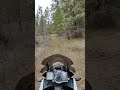 KTM 1090 Perfect Conditions For ✊👊 #ktmadventure