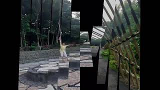 Jalan-jalan ke Taman Jamu Naturindo Kulon Progo