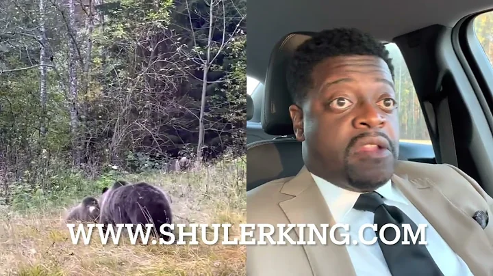 Shuler King - They Are Waving to the food