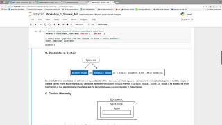 Snorkel API Tutorial by Jason Fries