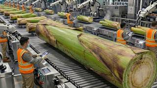 Inside a High-Tech Banana Stem Factory | From Farm Waste to Industrial Fiber (Full Process)