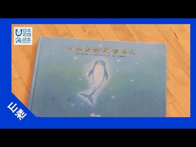 17年 26 イルカのkちゃん 海と日本project In やまなし Youtube