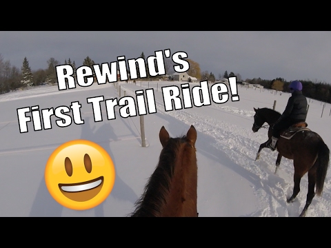 horseshoe bend Appaloosa Filly on her First Trail Ride - Rewind is growing up!