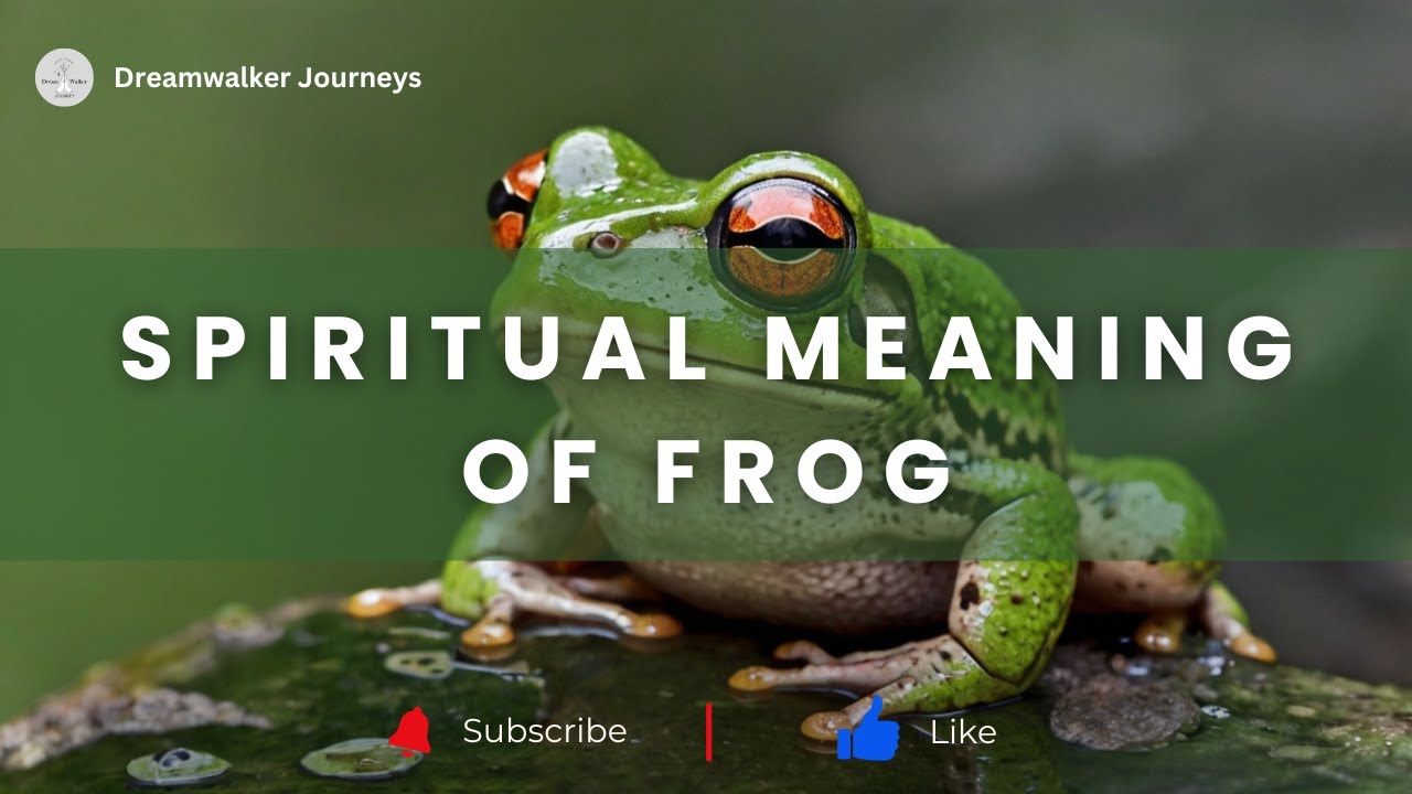 Spiritual Meaning of Frog | Frog Spiritual Meaning