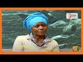SHAJARA | Simulizi ya Pauline Kendi ambaye mwanawe aliuzwa na shangazi wake (Part 2)