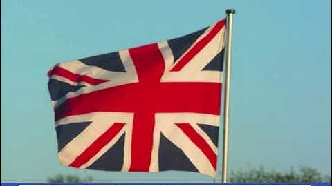 Aceface - King Adora