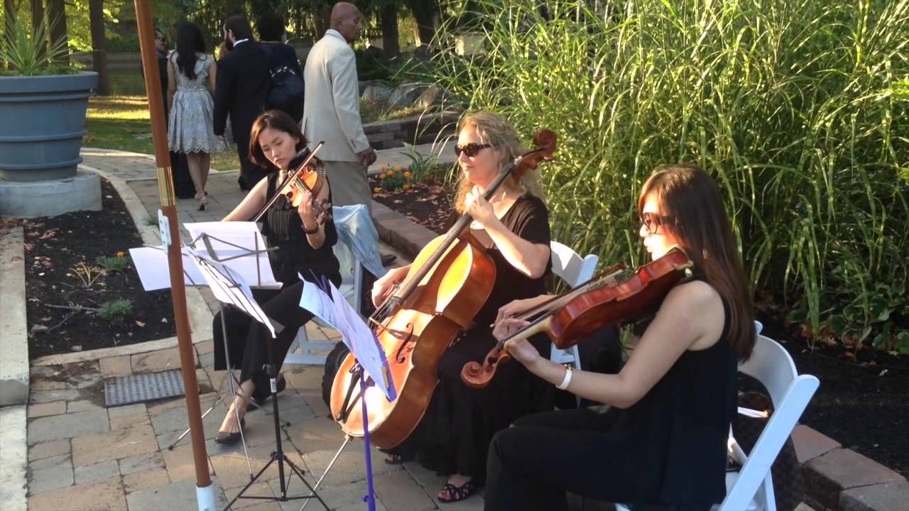String Trio Modern Selections - YouTube