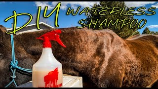 DIY Waterless Shampoo For Horses