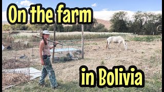 Death and life on the farm in Bolivia