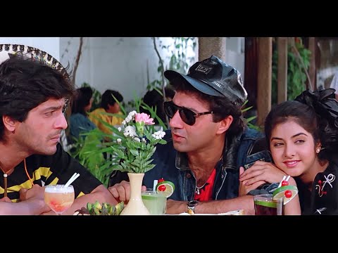 मैं अजगर जुर्राट की लंका में आग लगाने आया हूँ :Sunny Deol Vishwatma - Divya Bharti | Bollywood Scene