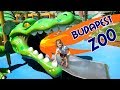 Visiting the Budapest Zoo 🐒🐘🦁 🐍 part 1 🦍 ANIMALS