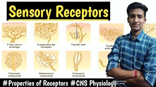 Sensory Receptors||Properties of Receptors || CNS Physiology ||Lectures||MBBS ||hindi|| Ashish