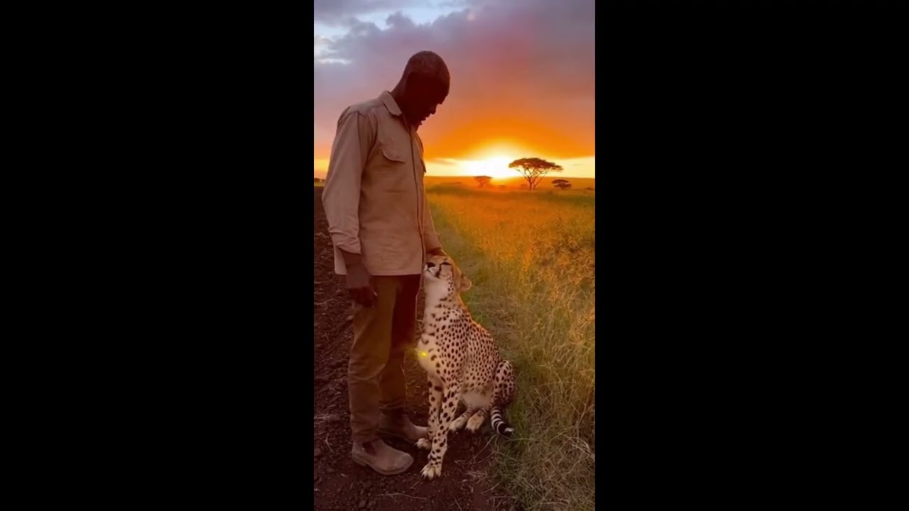They Remembered the Love — True Human & Animal Reunions