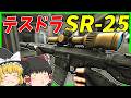 【EFT】#255 ストタルでテスドラPart1のSR-25 PMCキルタスクやって行く!【タルコフゆっくり実況】
