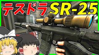【EFT】#255 ストタルでテスドラPart1のSR-25 PMCキルタスクやって行く！【タルコフゆっくり実況】