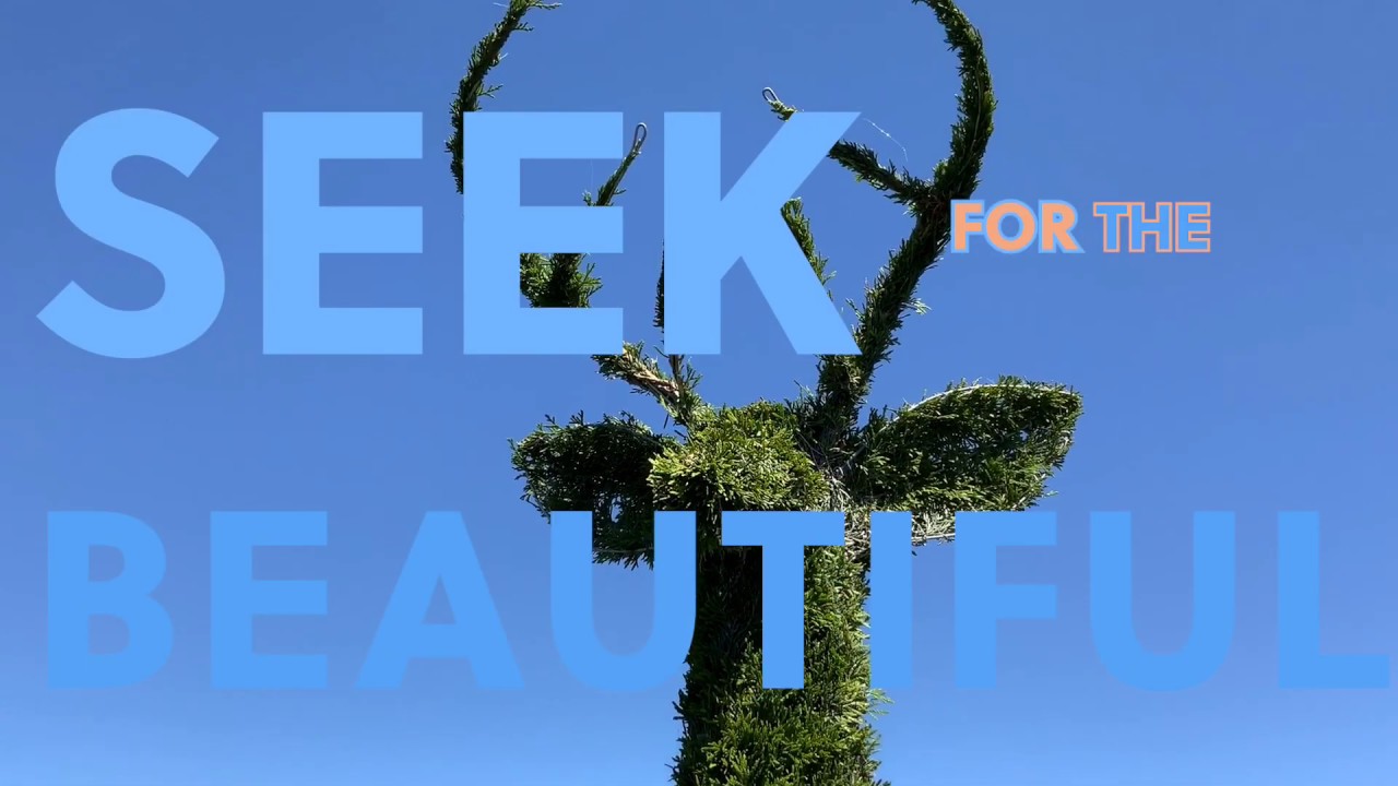 Sculptured Collection