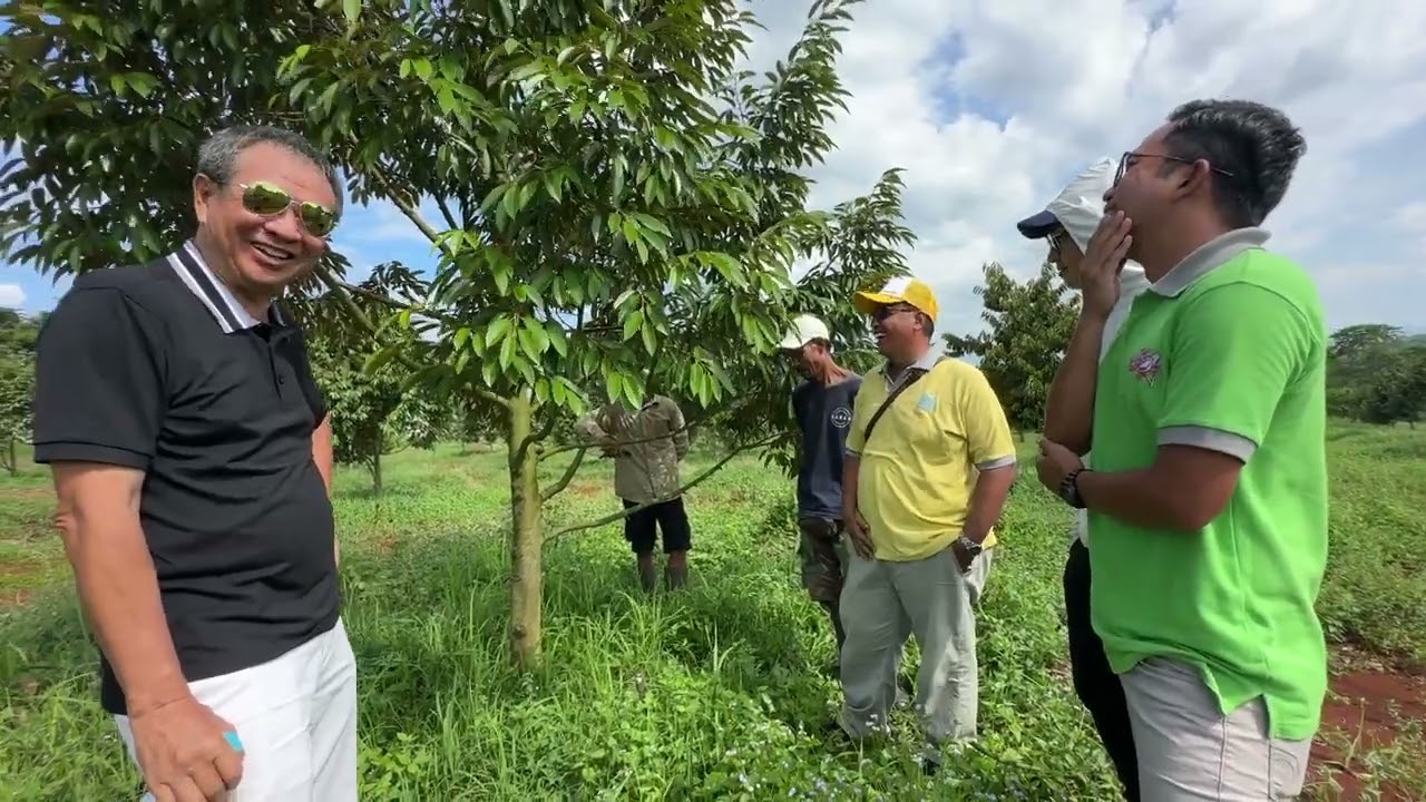 Pembahasan perawatan pohon durian  bersama team maroke april 2024