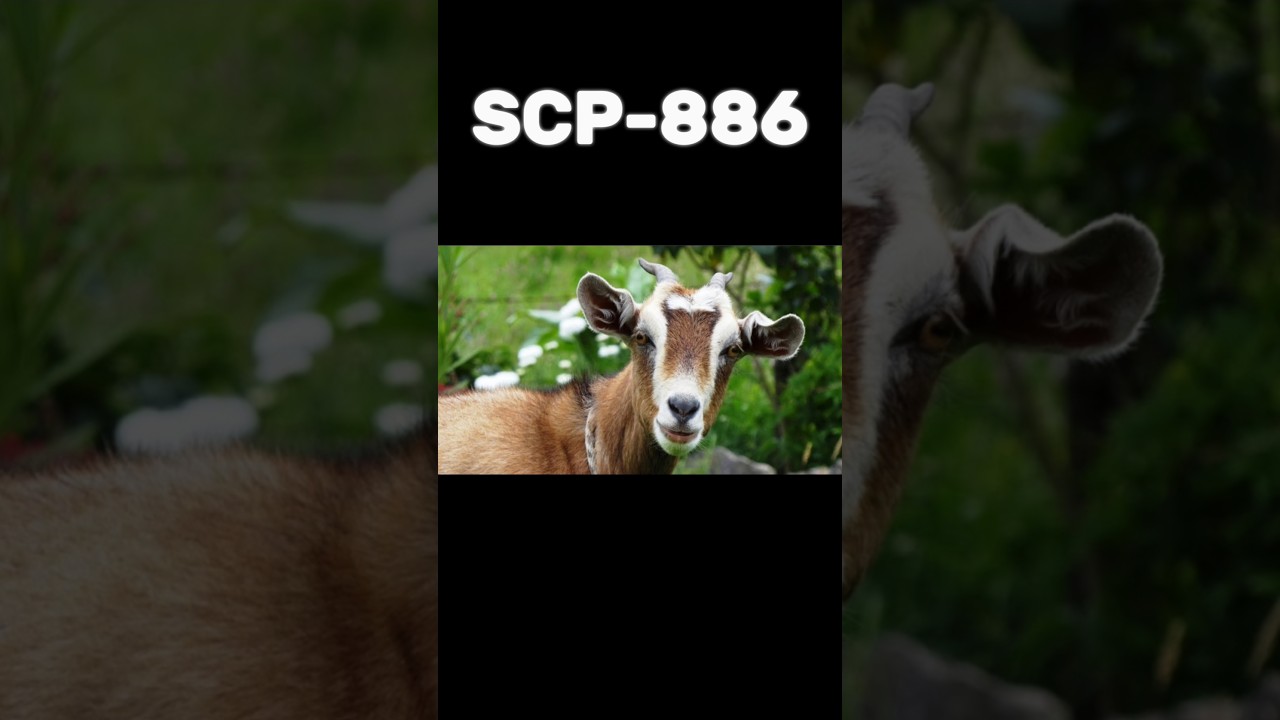 Какой самый безопасный SCP? Часть 9 