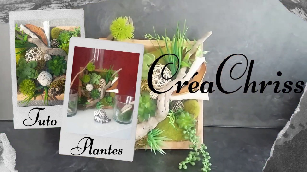 un cadre de plantes artificielles à faire soi-même