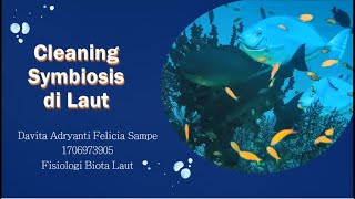 Fisiologi Biota Laut: Cleaning Symbiosis di Laut