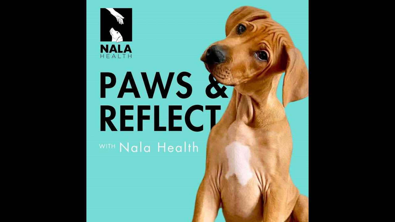 Life Stage Nutrition: Key to Your Dog's Health