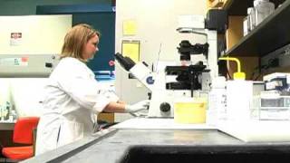 Nursing BS-PhD student profile video