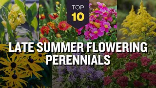 10 Beautiful Late Summer Flowering Perennials 🌸🌼 Vibrant Flower Garden 🌻