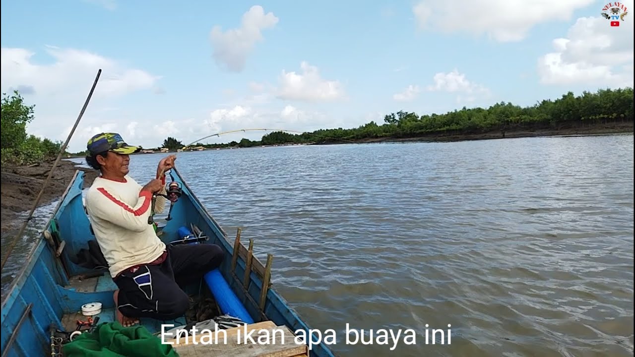 Baru kali ini merasakan tarikan ikan sekuat ini selama mancing menggunakan joran Reel