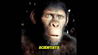 Maes Secret Mission In Kingdom Of The Planet Of The Apes...
