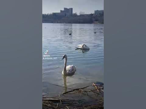 Трускавец - YouTube