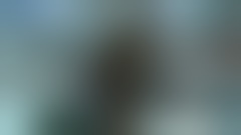 bullet force teaming and 1v1