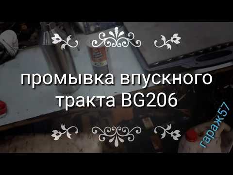 Промывка впускного тракта BG 206