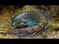 Top 8 Biggest Centipede In The World | Did You Know ??? | Did You Know ???