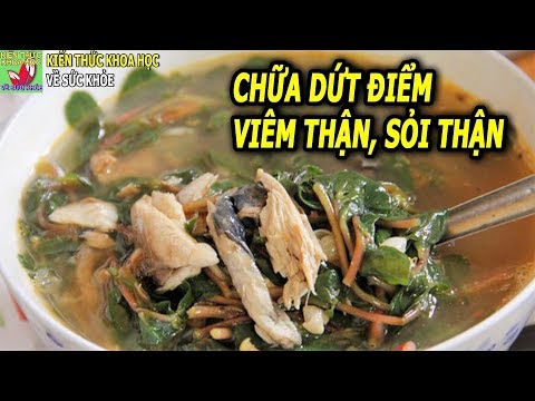 Video BÀI THUỐC CHỮA DỨT ĐIỂM VIÊM THẬN SỎI THẬN GIÚP HÀNG... - youtube