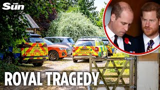 Download Lagu Princes William and Harry’s cousin, 20, found dead at home with a firearm nearby MP3 Download Lagu Princes William and Harry’s cousin, 20, found dead at home with a firearm nearby MP3