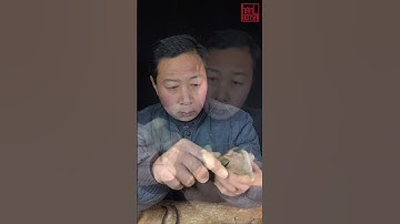 kỹ thuật thay đầu ghép Rễ cây bonsai #bonsai #caycanh