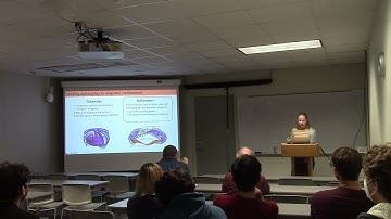 CAM Colloquium Nov 11, 2022 Elizabeth Paul Advancing magnetic confinement through shape optimization