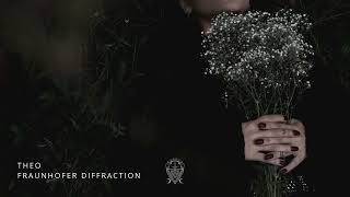 Fraunhofer Diffraction - Theo