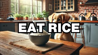 Can Dogs Eat Rice? Explained Details