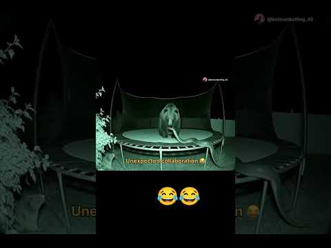 ODI Amma bunty rakta pinjar Roy 😂😂#viral#viralshorts#like  #comedy#pleasesubscribe  #comedyshorts